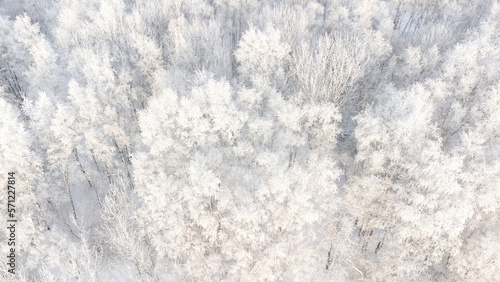 winter background - aerial top view of snowy and frozen winter forest