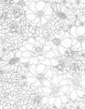 Vector carpet of flowers. Antistress coloring book for adults.   