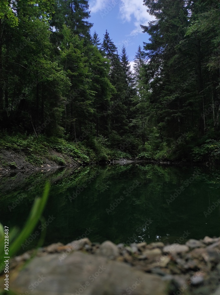 Fototapeta premium Lake in the mountain forest 