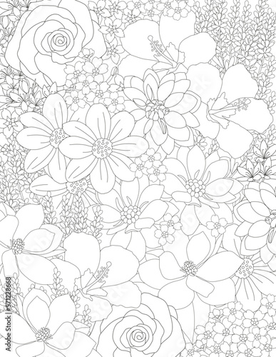 Vector carpet of flowers. Antistress coloring book for adults. 