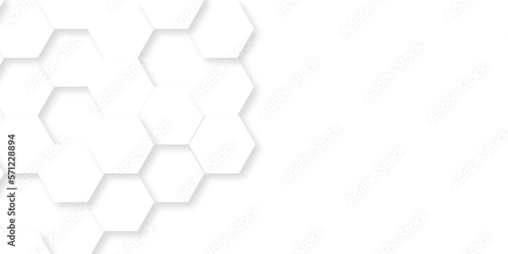Background with hexagons . Abstract background with lines . white texture background . white and hexagon abstract background. white paper texture and futuristic business . Background with hexagons . Abstract background with lines . white texture background . white and hexagon abstract background. white paper texture and futuristic business .