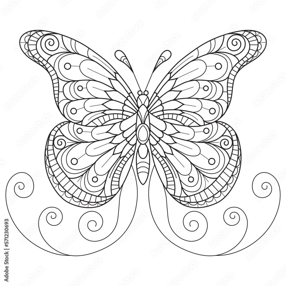 Butterfly hand drawn for adult coloring book Stock Vector | Adobe Stock