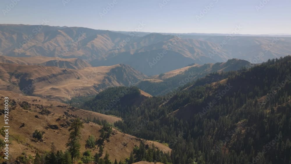 Landscape aerial overlooking Hells Canyon with pine trees in foreground Landscape aerial overlooking Hells Canyon with pine trees in foreground
