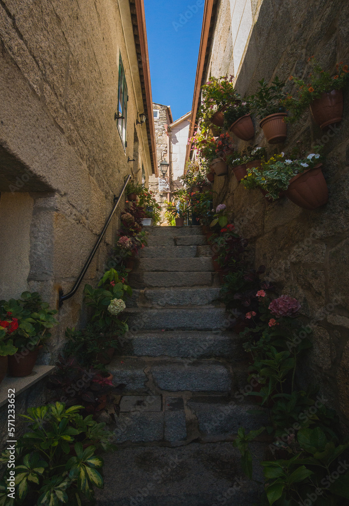 STAIRS WITH A LOT OF FLOWERS