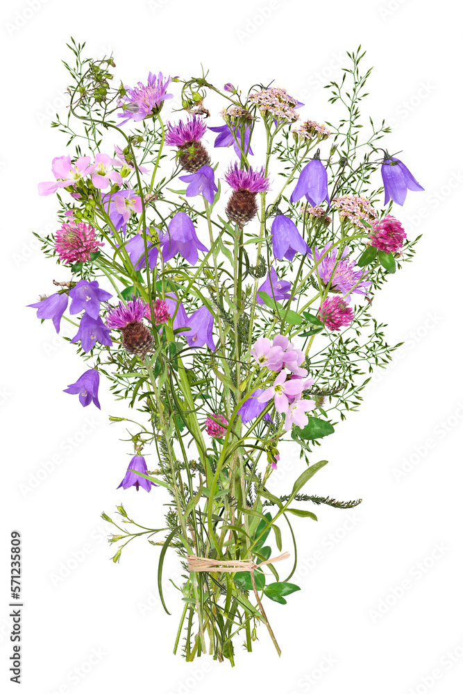 Bouquet with colorful meadow flowers, transparent background