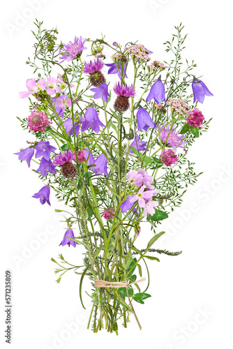 Bouquet with colorful meadow flowers  transparent background