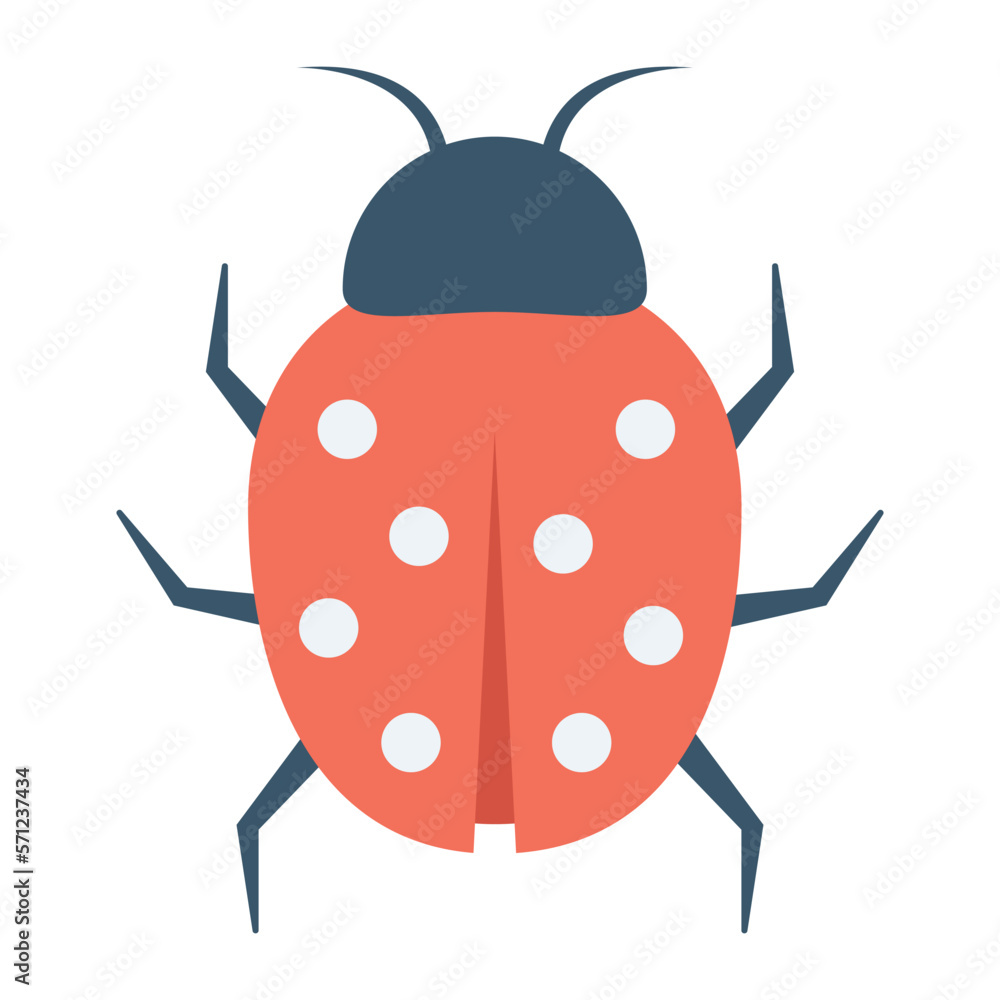 nature and ecology bug and animals