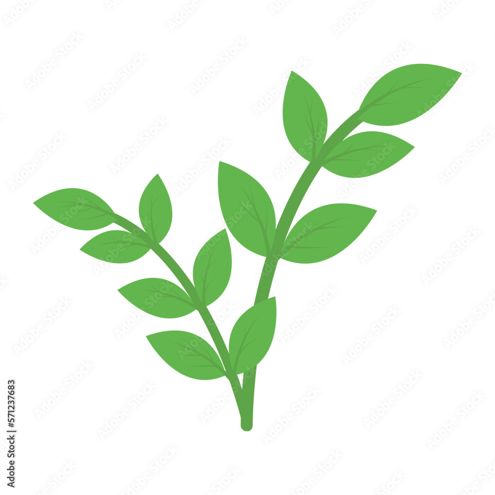 Fototapeta premium nature and ecology leaf and green