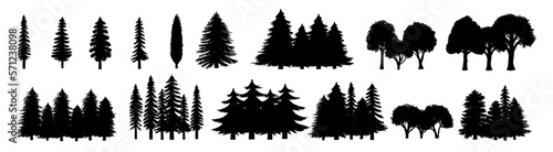 Foto Assorted pine tree vector set icon