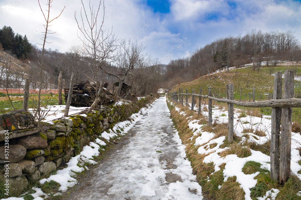 Frozen country path near the municipality of Ventarola, province of Genoa, Italy