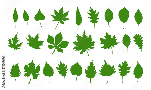 Big set of vector spring leaves, herbal element. Collection of simple green leaves. Can be used as isolated sign, symbol and icon. Collection of spring botanical vector flat plant illustration