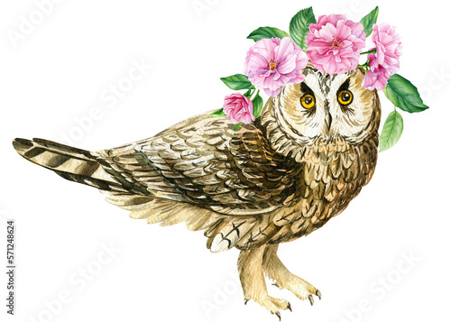 Cute owl and pink flowers on isolated white background. Watercolor hand draw forest bird. poster with owl 