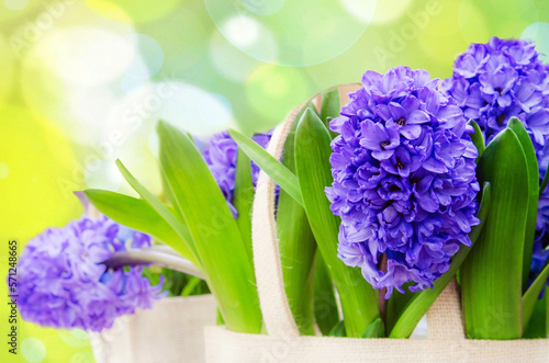 Obraz na płótnie Magnificent spring still life with flowers by hyacinths in the background of a salad background w salonie