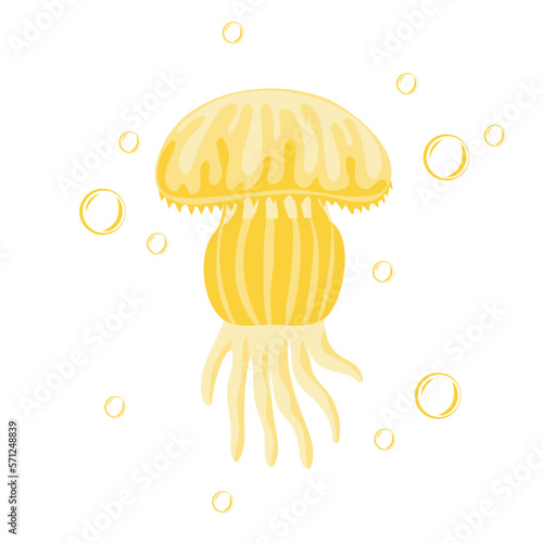 Jellyfish. Marine dweller. Concept of sea and ocean life. Vector illustration