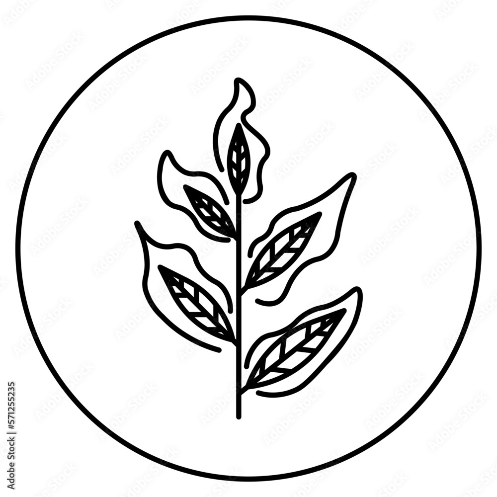 tree tree