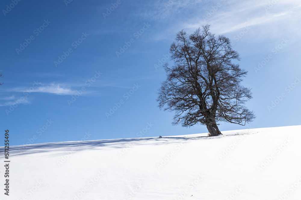 Winter landscape around Castelluccio di Norcia, Italy Winter landscape around Castelluccio di Norcia, Italy