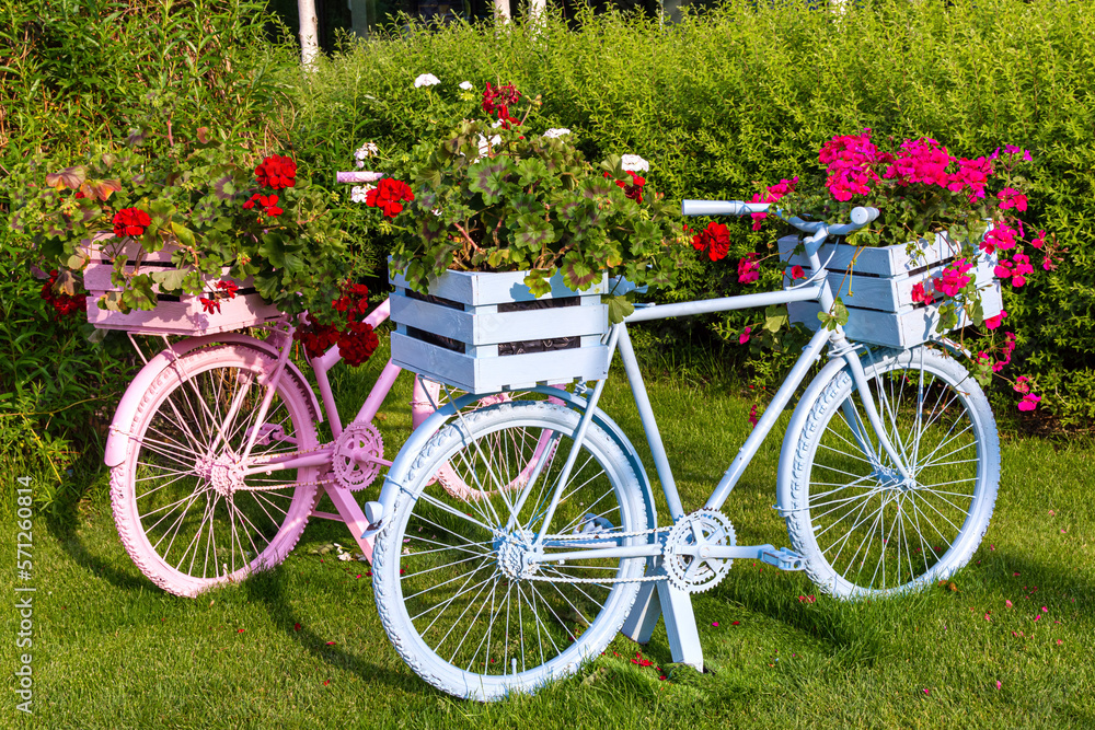 summer decoration bicycle decorated with flowers garden summer decoration bicycle decorated with flowers garden