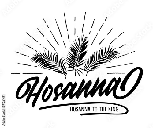 Palm Sunday holiday card vector illustration