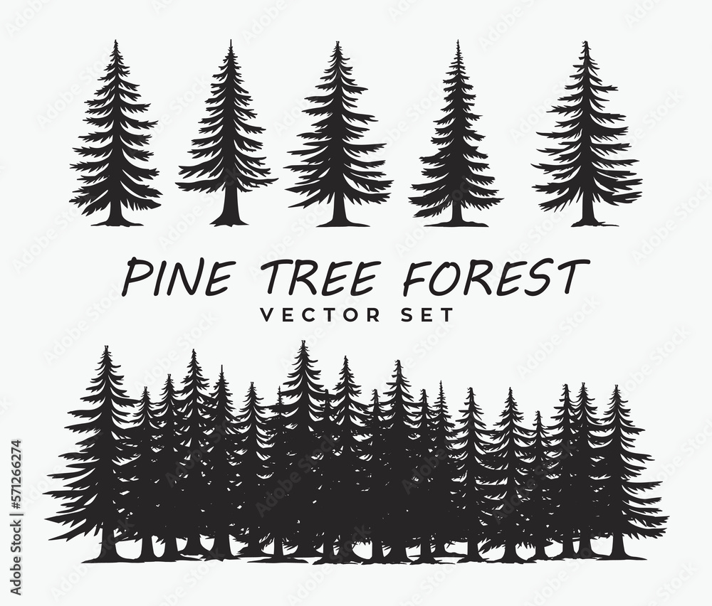 Fototapeta premium Set of Pine tree forest silhouette vector graphic template