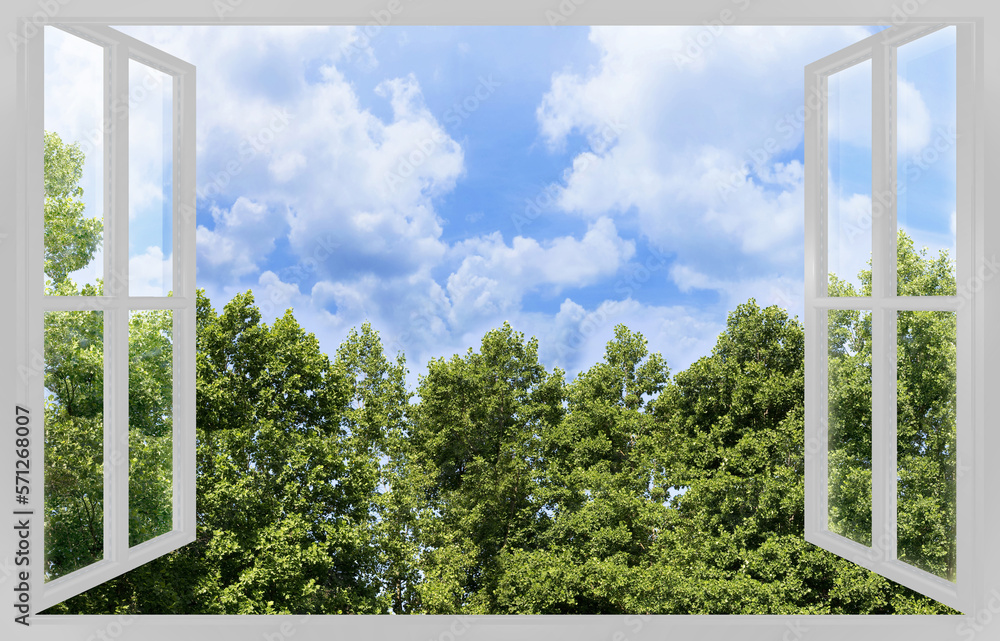 Isolated tree in a green meadow of a public park with trees on b Isolated tree in a green meadow of a public park with trees on b