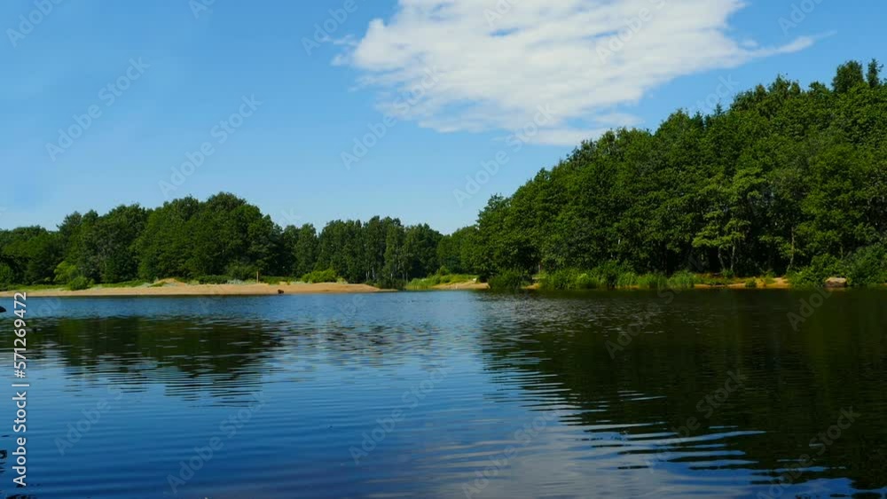 beautiful scenic landscape, river forest blue sky, summer vacation