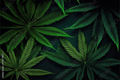 Marijuana leaves  cannabis on a dark background. Generative backdrop
