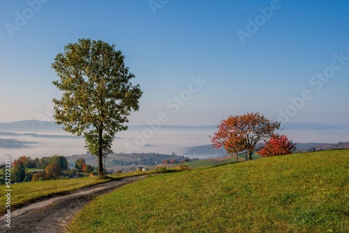 Colorful trees on meadow at sunrise with sun, mist and old road