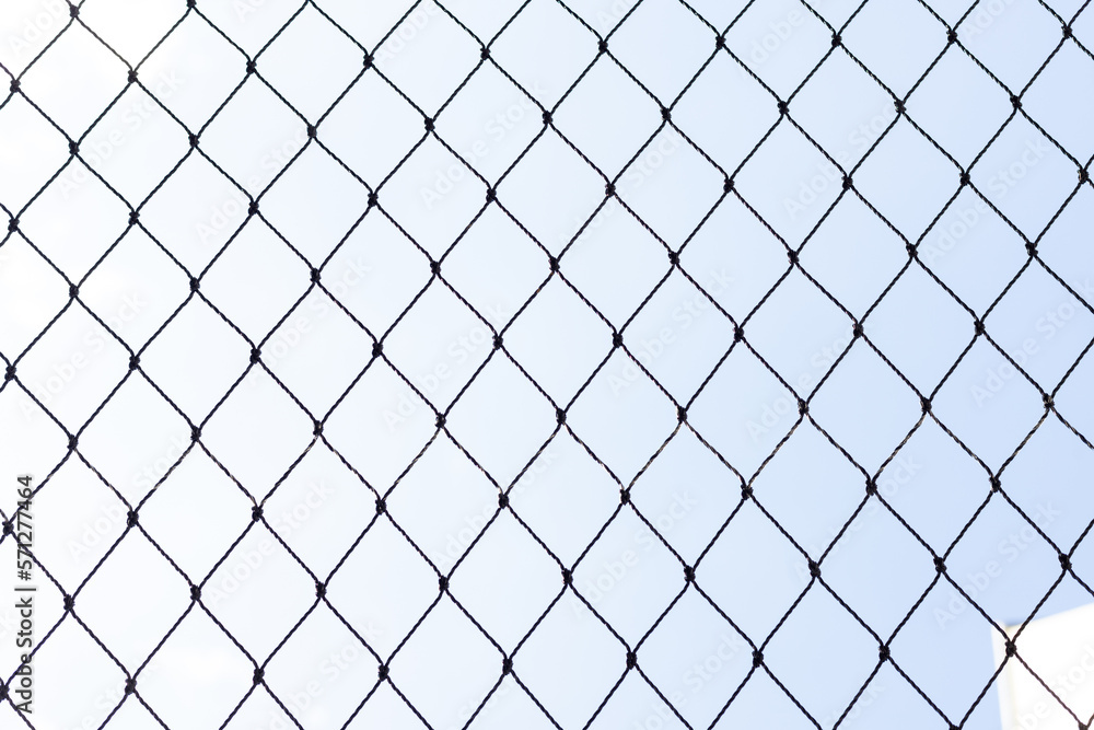 Cat protection net grid Texture Background Cat protection net grid Texture Background