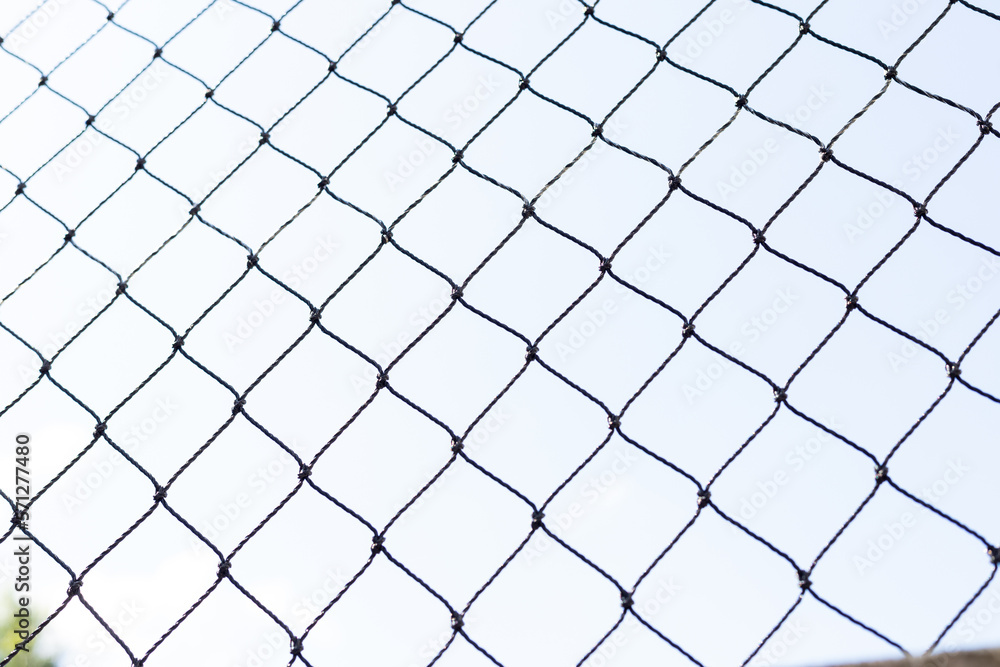 Cat protection net grid Texture Background Cat protection net grid Texture Background