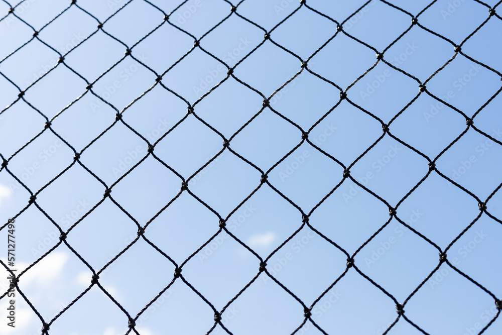 Cat protection net grid Texture Background Cat protection net grid Texture Background