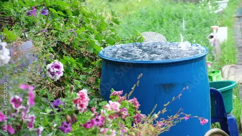 A blue barrel for collecting rainwater. Collecting rainwater in a plastic container. Collecting rainwater for watering the garden. Ecological collection of water for crop irrigation.