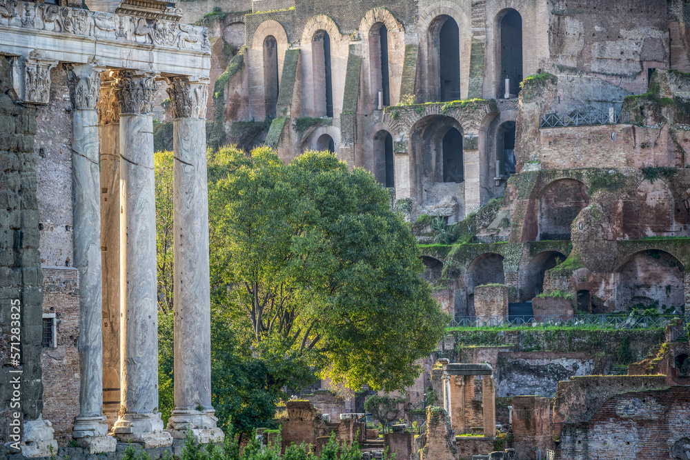 Ruines dans le Forum Romain