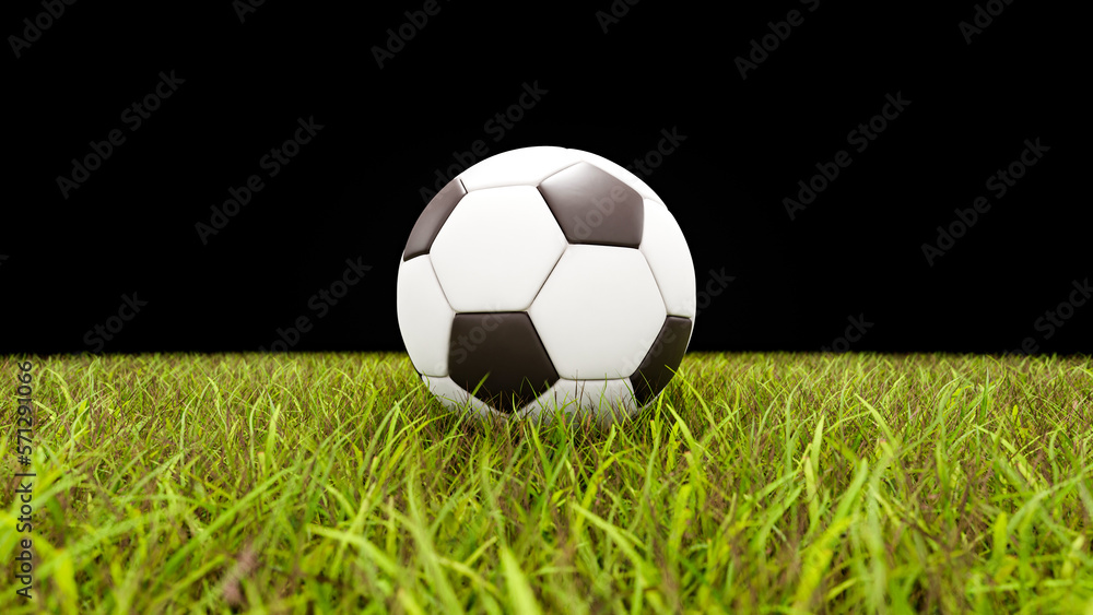 Fototapeta premium 3d render background. football, world, cup, soccer, ball, on the field grass, sport background, black, white, grass, alpha 