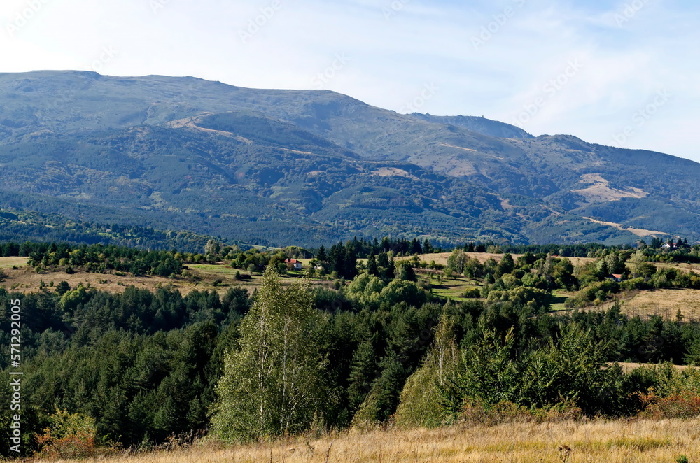 Obraz premium Scene with autumn meadow, forest and residential district of the Bulgarian village of Plana in the Plana mountain with the Vitosha mountain in the background, Bulgaria 