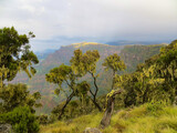 Panoramic view of landscape with trees in the Simien Mountains Ethiopia, Africa