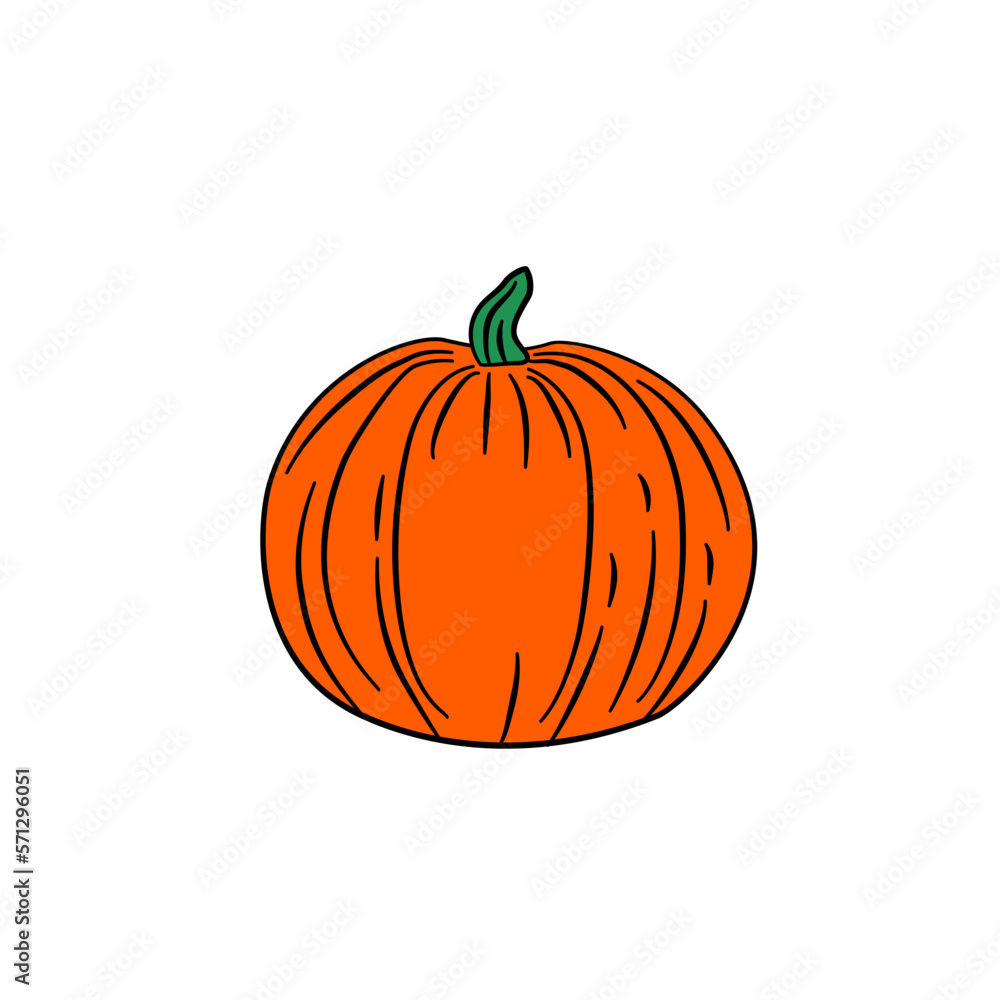 Obraz premium summer squash pumpkin vegetarian 