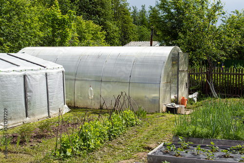 Polycarbonate greenhouse. Natural. Growing vegetables and berries in the garden. Open and covered beds