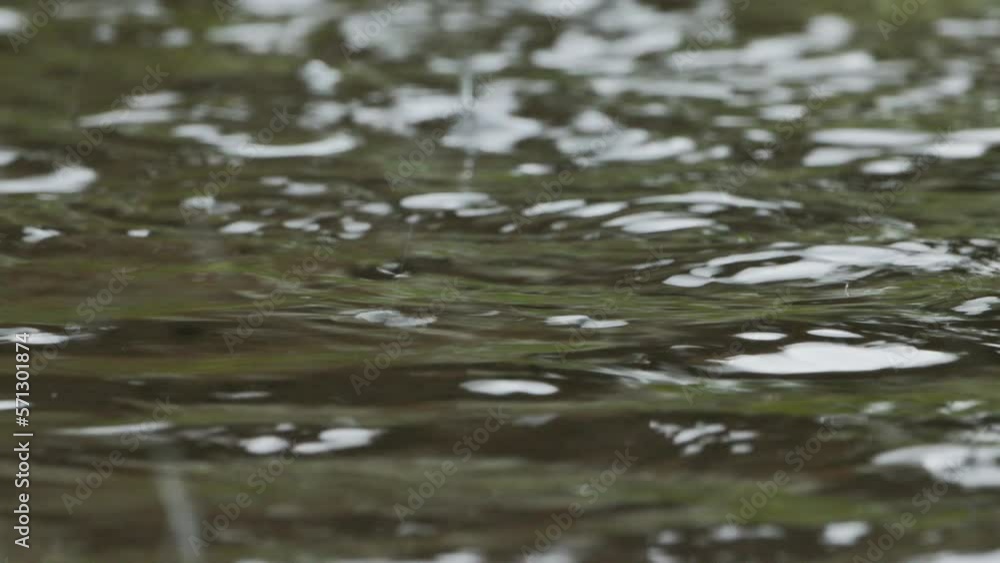 Splashes of rainwater that fall to the ground do not absorb completely and create puddles Splashes of rainwater that fall to the ground do not absorb completely and create puddles