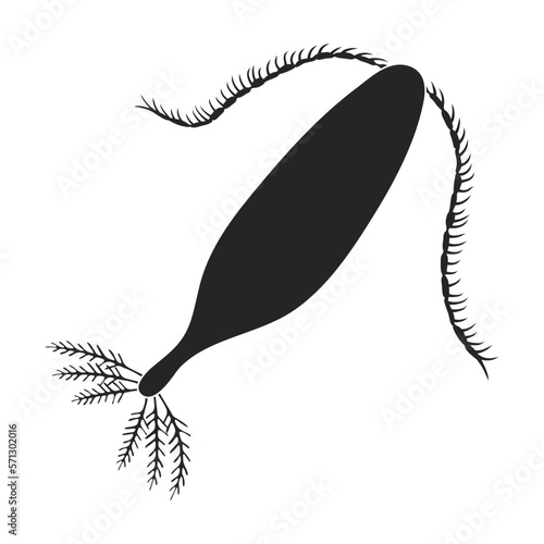 Plankton vector icon.Black vector icon isolated on white background plankton.