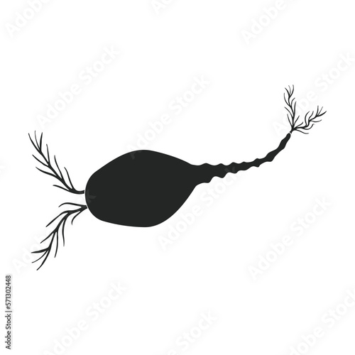 Plankton vector icon.Black vector icon isolated on white background plankton.