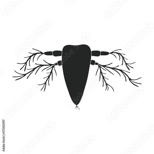 Plankton vector icon.Black vector icon isolated on white background plankton.