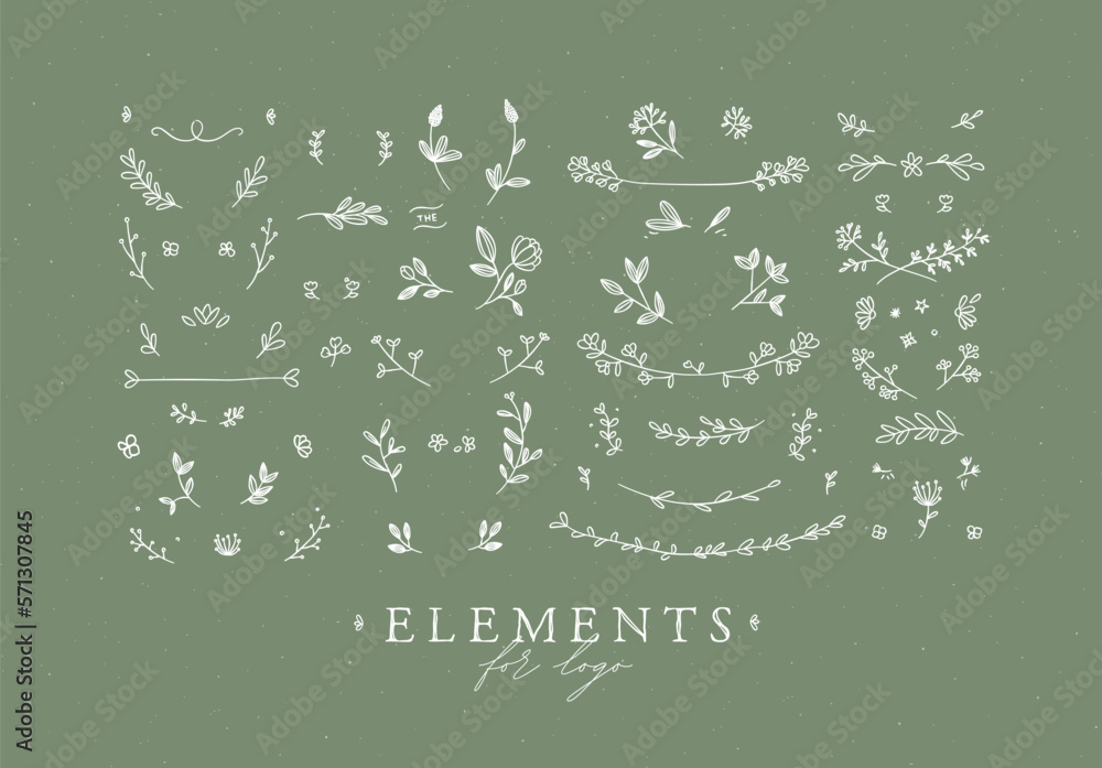 Elements flowers and branches to create label or sign in hand drawing style. Green color background.