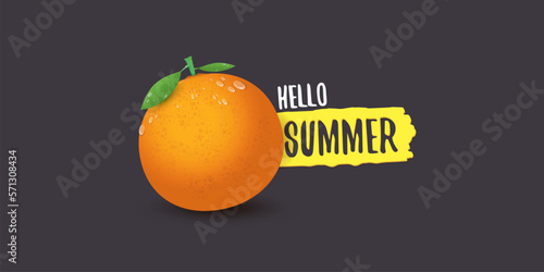 Vector Hello Summer horizontal banner or flyer Design template with fresh orange fruit isolated on grey background. Hello summer concept label or poster with fruit and letternig text.