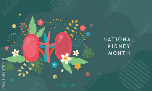 National Kidney Month. Kidneys awareness. Health medically illustration. Human Kidney