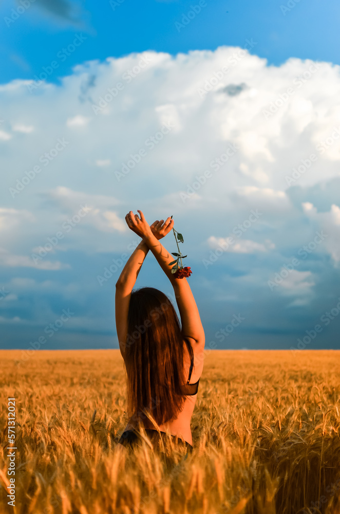 Girl with a naked back in the field.Blue sky and yellow field.Beautiful