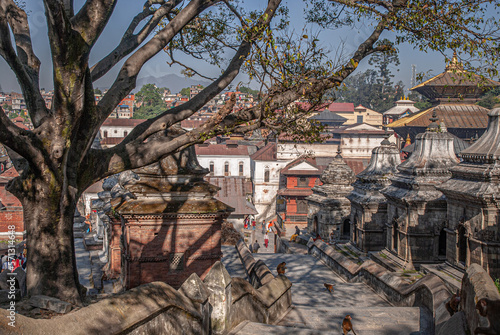 View of Pashupatinath Temle, a Hindu temple dedicated to Lord Pashupati, along Bagmati river, Kathmandu, Nepal. photo