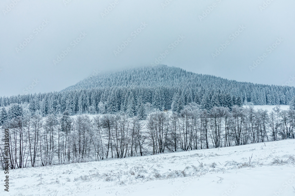 Schöne Winterlandschaft auf den Höhen des Thüringer Waldes bei Oberhof - Thüringen - Deutschland