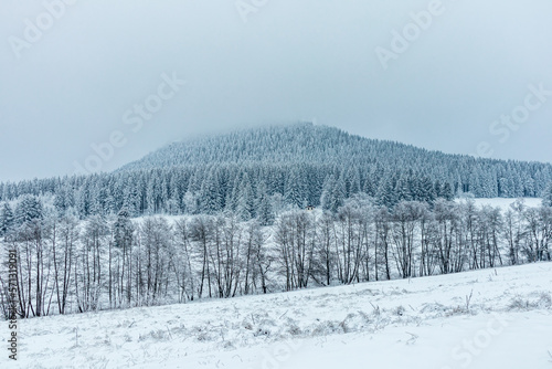 Schöne Winterlandschaft auf den Höhen des Thüringer Waldes bei Oberhof - Thüringen - Deutschland © Oliver Hlavaty