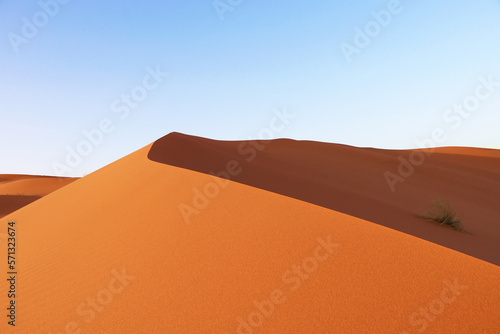 Sand dunes desert Background - Beautiful Arabian desert