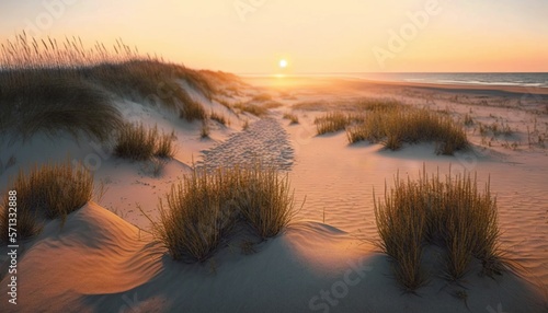  the sun is setting on the beach with sand dunes and sea oats in the foreground and the ocean in the distance, with a sandy beach grass and sand dunes in the foreground.  generative ai © Anna